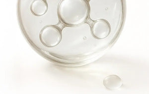 Extrait de thé vert